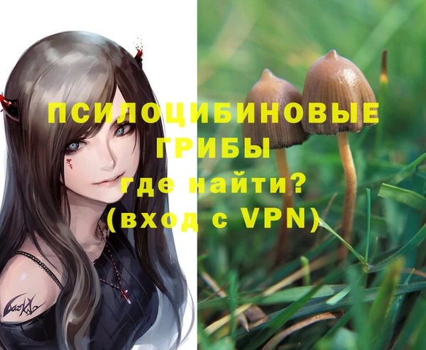 2c-b Алексин