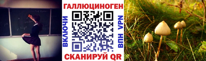 купить наркоту  Дзержинский  Псилоцибиновые грибы MAGIC MUSHROOMS 
